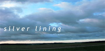 silver lining - Ausstellung in Passau, Kunstprojekte Leyerseder